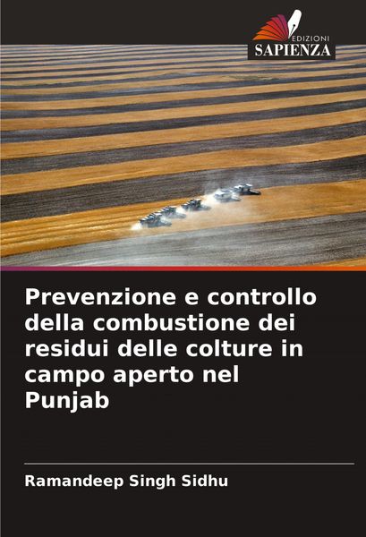 Produktbild: Prevenzione e controllo della combustione dei residui delle colture in campo aperto nel Punjab