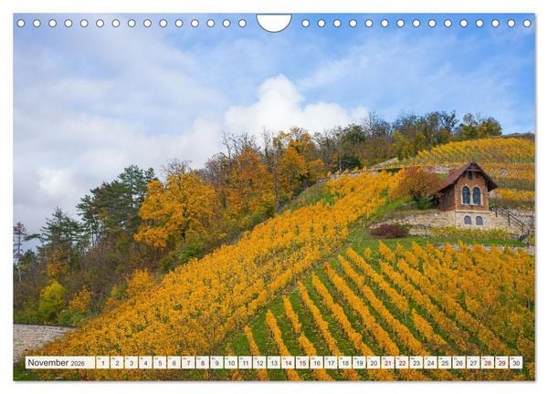 Produktbild: Sachsen-Anhalt - Eine Sch&ouml;nheit in der Mitte Deutschlands (Wandkalender 2026 DIN A4 quer), CALVENDO Monatskalender