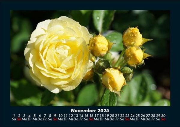 Produktbild: Blumenzauber 2025 Fotokalender DIN A5