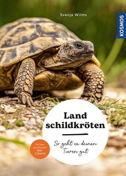 Produktbild: Landschildkr&ouml;ten