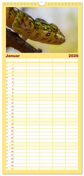 Produktbild: Familienplaner 2026 - Tierisch tolles Madagaskar - Cham&auml;leons, Lemuren und mehr mit 5 Spalten (Wandkalender, 21 x 45 cm) CALVENDO
