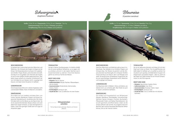 Produktbild: Nistk&auml;sten und Vogelh&auml;user zum Selberbauen - Mit 50 Gartenv&ouml;geln im Portr&auml;t