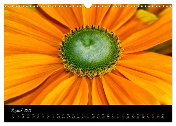 Produktbild: Serenade - Visuelle Musik der Blumen (Wandkalender 2026 DIN A3 quer), CALVENDO Monatskalender