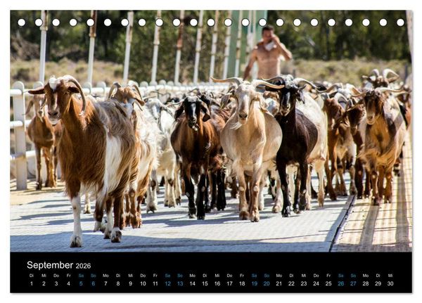Produktbild: Peloponnes, Griechisches Urgestein von grandioser Sch&ouml;nheit. Die Regionen Argolis, Korinthia und Attika (Tischkalender 2026 DIN A5 quer), CALVENDO Monatskalender