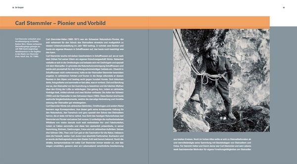 Produktbild: Der Steinadler