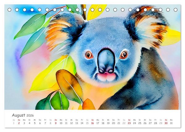 Produktbild: Der Koala 2026. Aschgrauer Beutelb&auml;r (Tischkalender 2026 DIN A5 quer), CALVENDO Monatskalender