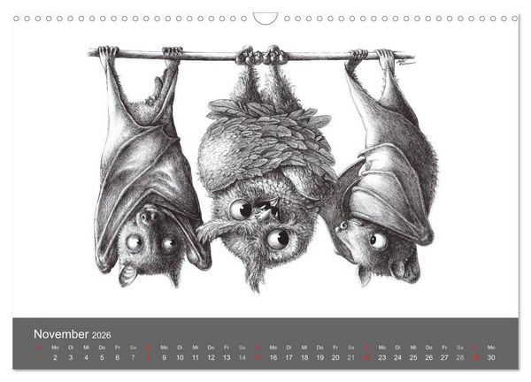 Produktbild: owls & friends 2026 (Wandkalender 2026 DIN A3 quer), CALVENDO Monatskalender