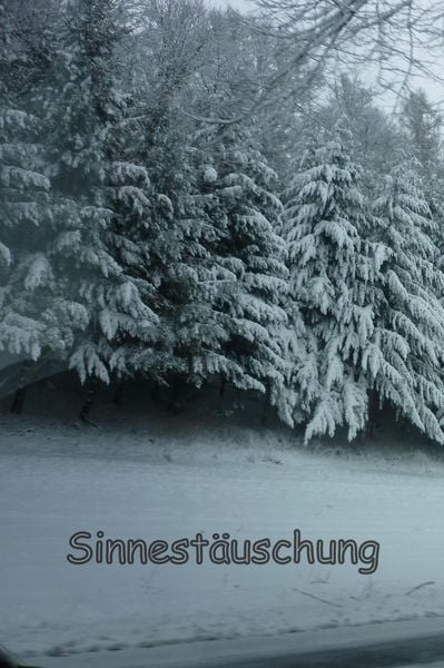 Produktbild: Sinnest&auml;uschung
