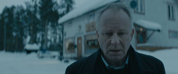 Produktbild: Pferde stehlen