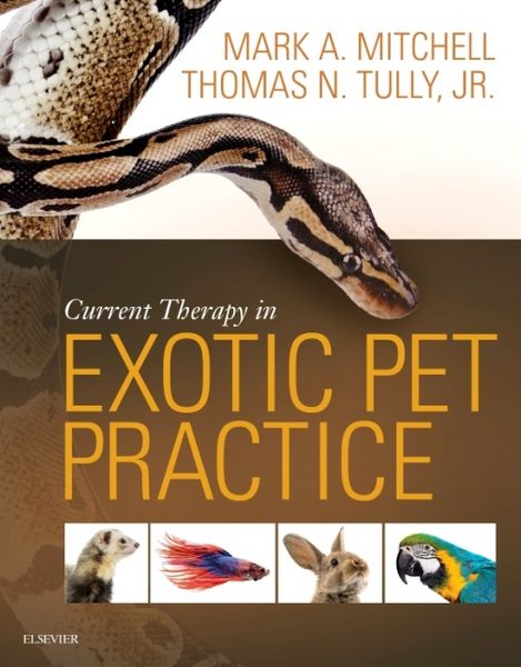Produktbild: Current Therapy in Exotic Pet Practice
