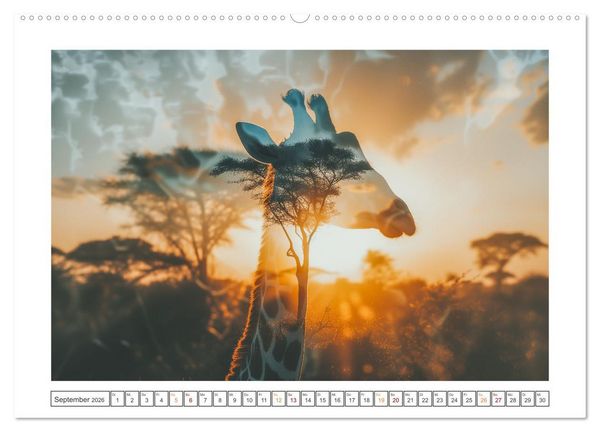 Produktbild: Traumhafte Silhouetten (hochwertiger Premium Wandkalender 2026 DIN A2 quer), Kunstdruck in Hochglanz