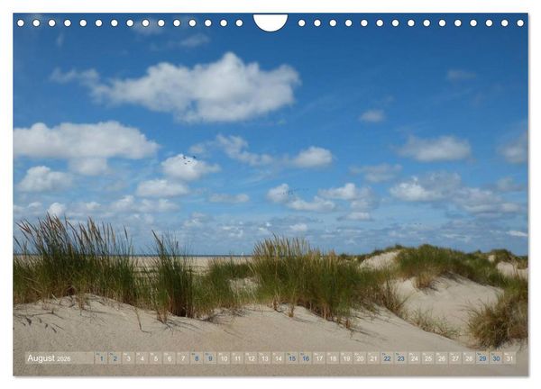 Produktbild: Texel. Neue D&uuml;nen (Wandkalender 2026 DIN A4 quer), CALVENDO Monatskalender