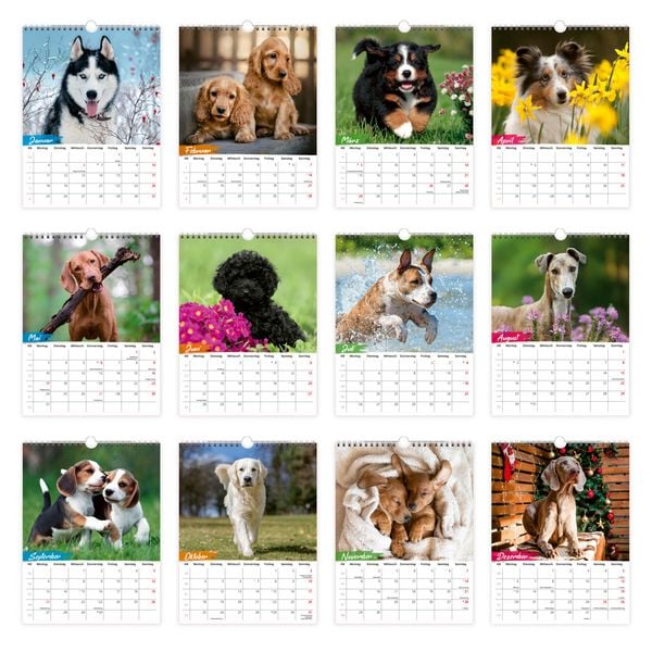 Produktbild: TR&Ouml;TSCH - Notizkalender zum H&auml;ngen Hunde 2027