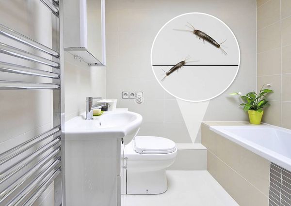 Produktbild: Gardigo Insektenvertreiber Funktionsart Multifrequenz, Ultraschall Wirkungsbereich 230 m&sup2; 1 St.