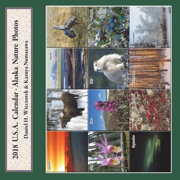 Produktbild: 2018 USA Calendar - Alaska Nature Photos