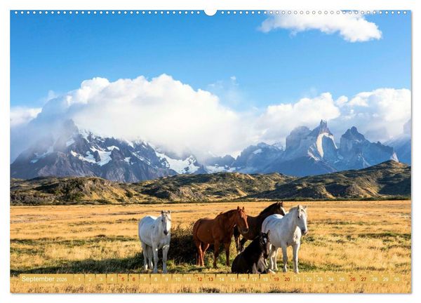 Produktbild: Patagonien - Naturwunder am Ende der Welt (Wandkalender 2026 DIN A2 quer), CALVENDO Monatskalender