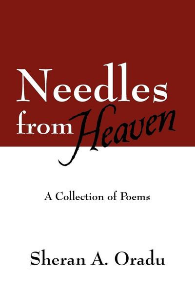Produktbild: Needles from Heaven