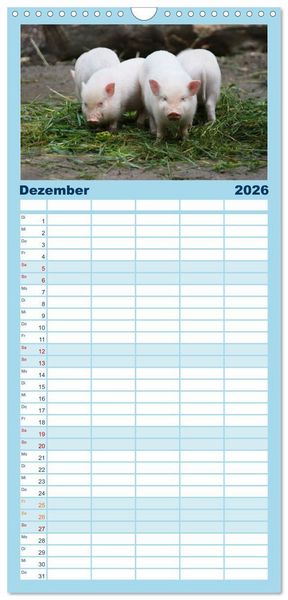 Produktbild: Familienplaner 2026 - Tierische Schweinerei mit 5 Spalten (Wandkalender, 21 x 45 cm) CALVENDO