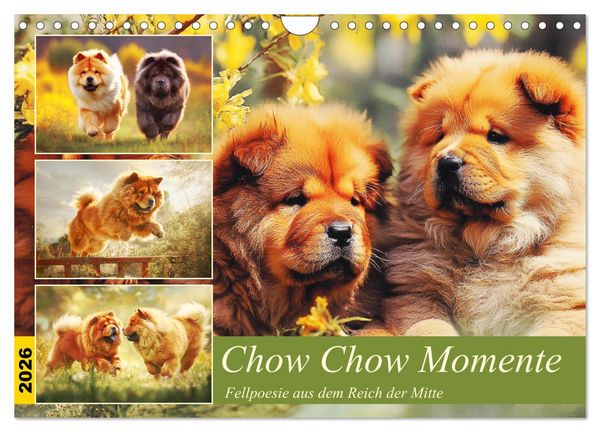 Produktbild: Chow Chow Momente. Fellpoesie aus dem Reich der Mitte (Wandkalender 2026 DIN A4 quer), CALVENDO Monatskalender