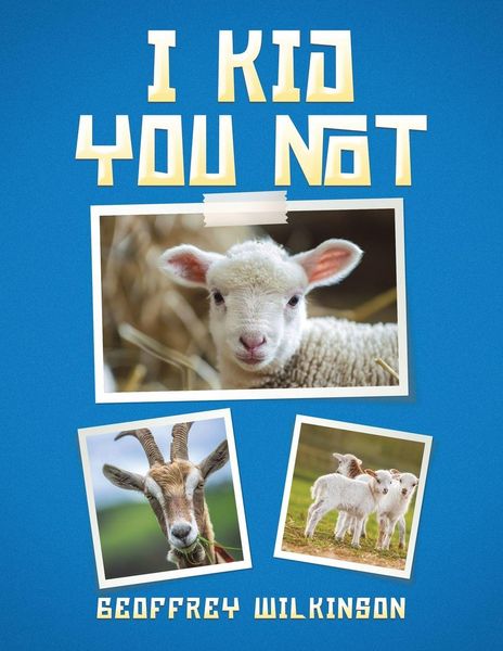 Produktbild: I Kid You Not