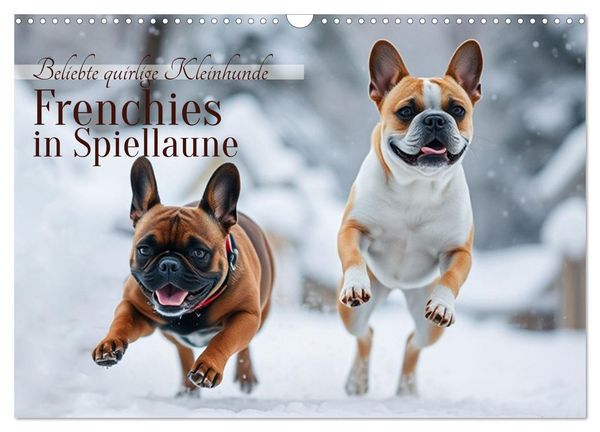 Produktbild: Frenchies in Spiellaune (Wandkalender 2026 DIN A3 quer), CALVENDO Monatskalender