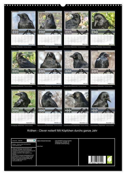 Produktbild: Kr&auml;hen - Clever notiert! Mit K&ouml;pfchen durchs ganze Jahr (hochwertiger Premium Wandkalender 2026 DIN A2 hoch), Kunstdruck in Hochglanz