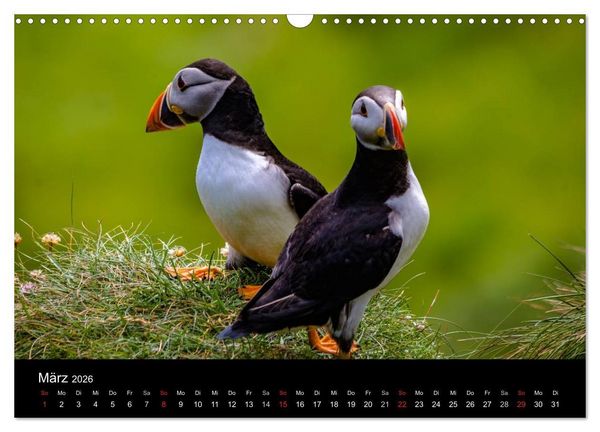Produktbild: Schottlands Inseln (Wandkalender 2026 DIN A3 quer), CALVENDO Monatskalender