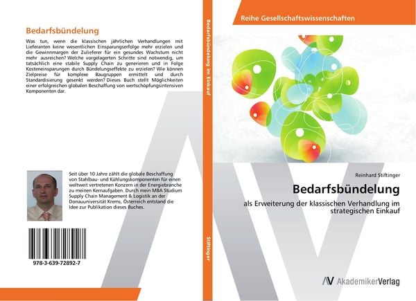 Bedarfsbündelung, Taschenbuch von Reinhard Stiftinger, AV Akademikerverlag, 9783639728927