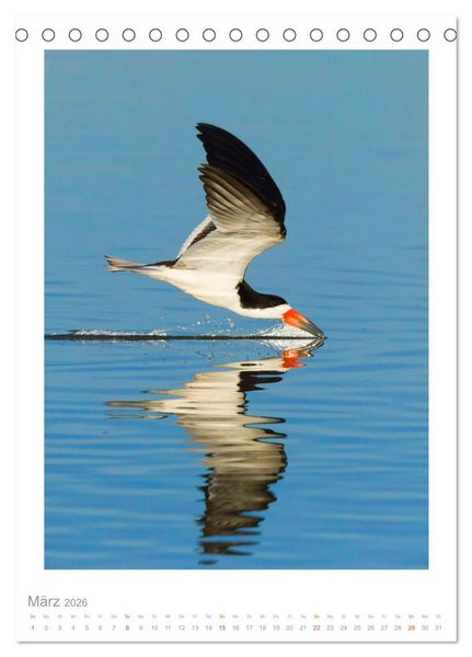 Produktbild: Pantanal &ndash; Einzigartiges Wildlife-Paradies (Tischkalender 2026 DIN A5 hoch), CALVENDO Monatskalender