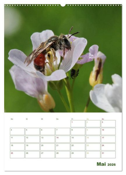 Produktbild: Bienen-Terminplaner 2026 (hochwertiger Premium Wandkalender 2026 DIN A2 hoch), Kunstdruck in Hochglanz