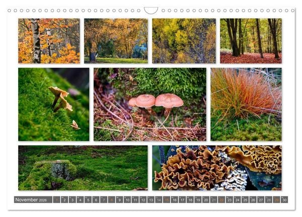 Produktbild: Naturcollagen 2026 (Wandkalender 2026 DIN A3 quer), CALVENDO Monatskalender