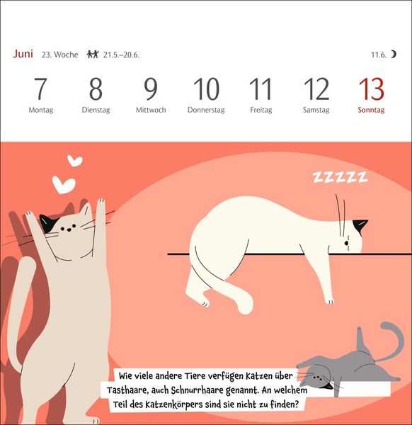 Produktbild: Unn&uuml;tzes-Wissen-Quiz Katzen Premium-Postkartenkalender 2027 - Kalender mit 53 R&auml;tselkarten