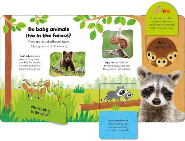 Produktbild: Baby Animals (Little Kids, Big Questions)