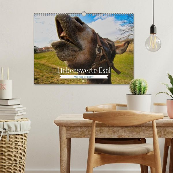 Produktbild: Liebenswerte Esel (Wandkalender 2026 DIN A3 quer), CALVENDO Monatskalender