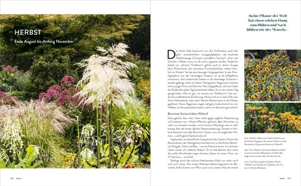 Produktbild: Der Garten meines Vaters Karl Foerster