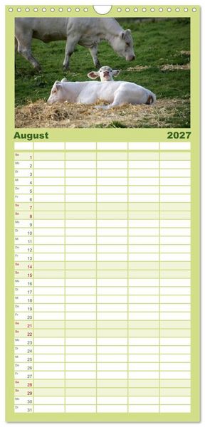 Produktbild: Familienplaner 2027 - Muuuhhh! mit 5 Spalten (Wandkalender, 21 x 45 cm) CALVENDO
