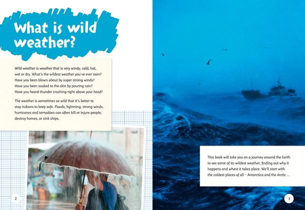 Produktbild: Big Cat - Wild Weather