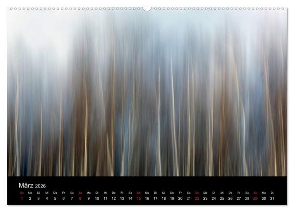 Produktbild: Baumportr&auml;ts 2026 (Wandkalender 2026 DIN A2 quer), CALVENDO Monatskalender