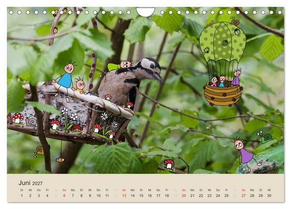 Produktbild: Das Leben der kleinen Pankies (Wandkalender 2027 DIN A4 quer), CALVENDO Monatskalender