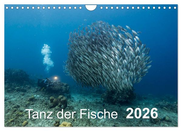 Produktbild: Tanz der Fische (Wandkalender 2026 DIN A4 quer), CALVENDO Monatskalender