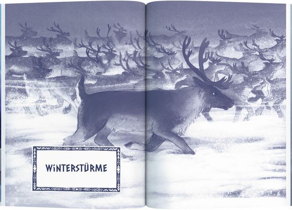 Produktbild: Fjolla, H&uuml;terin der Schneelande