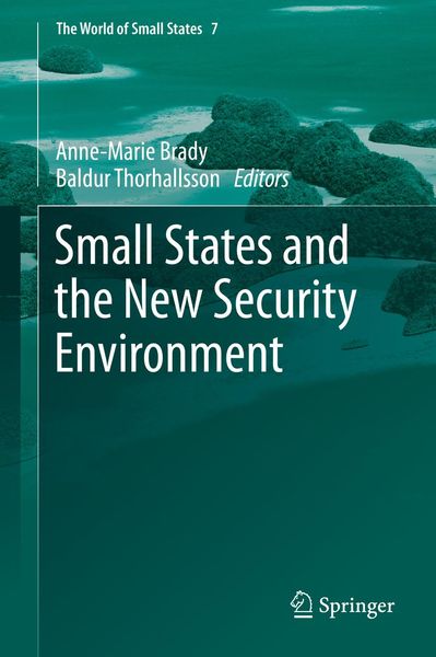 Produktbild: Small States and the New Security Environment