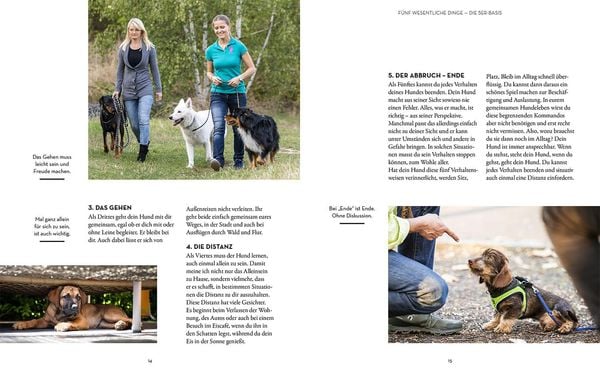 Produktbild: Hunde erziehen &ndash; mit der 5er-Basis