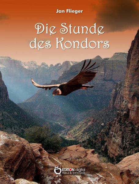 Produktbild: Die Stunde des Kondors