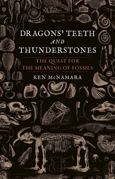 Produktbild: Dragons' Teeth and Thunderstones