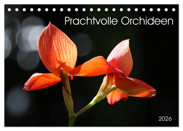 Produktbild: Prachtvolle Orchideen (Tischkalender 2026 DIN A5 quer), CALVENDO Monatskalender