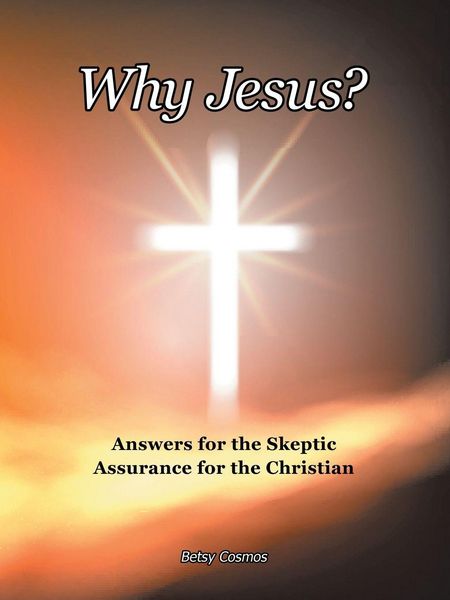 Produktbild: Why Jesus?