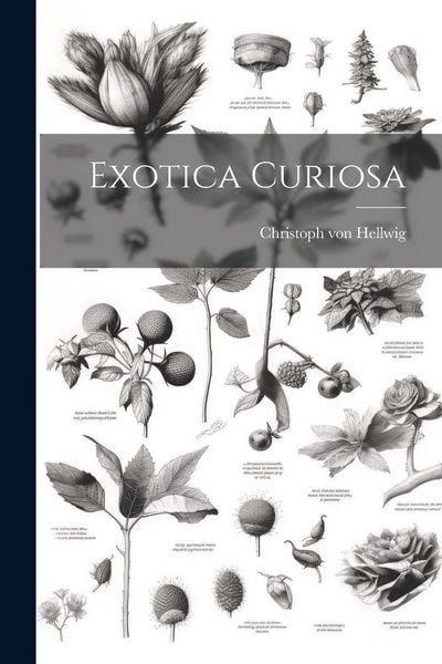 Produktbild: Exotica Curiosa