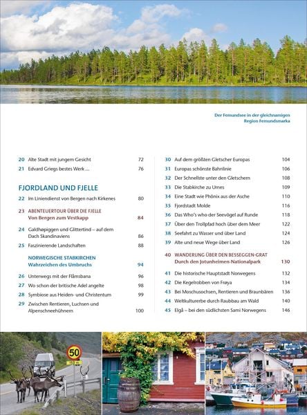 Produktbild: Das Wohnmobil Reisebuch Norwegen