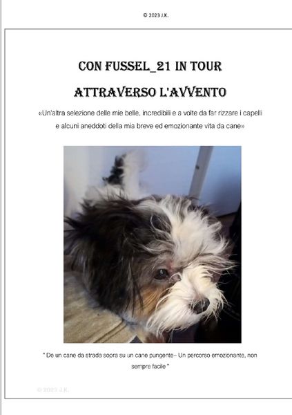 Produktbild: Con Fussel_21 in Tour attraverso l'avvento